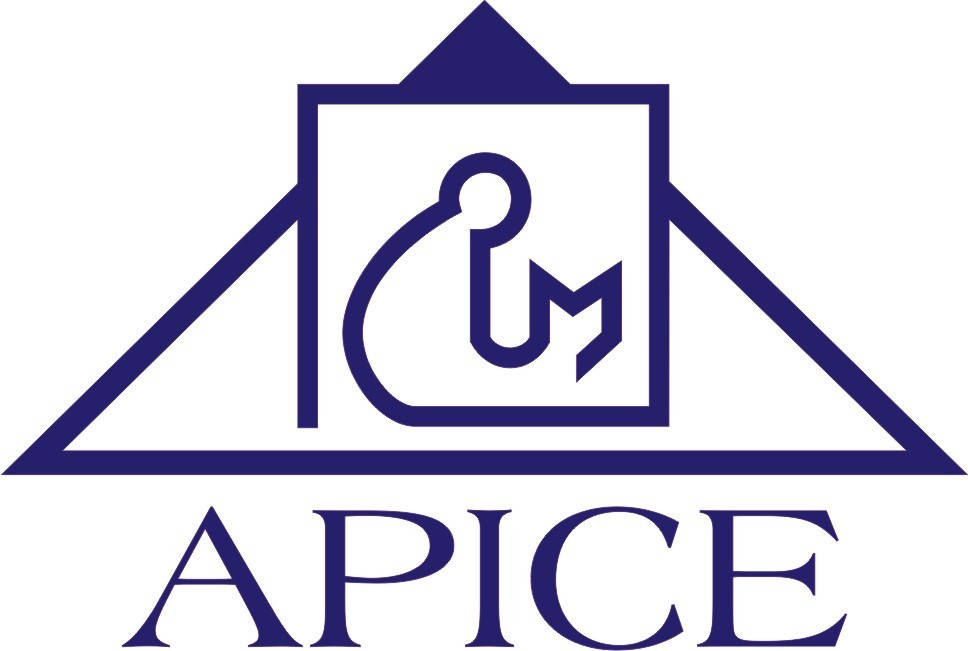 logo apice