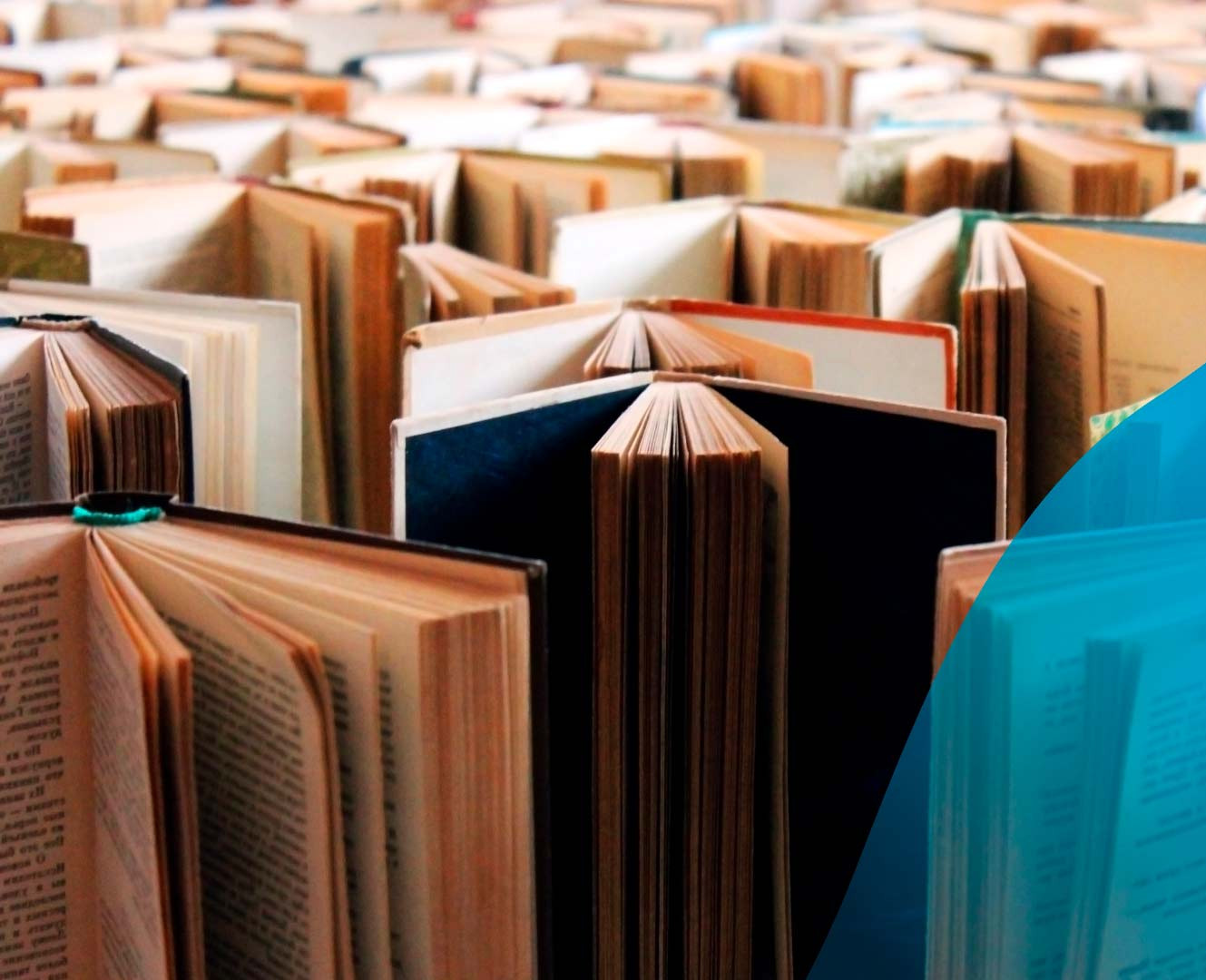 Traducción literaria paisaje y horizonte del oficio