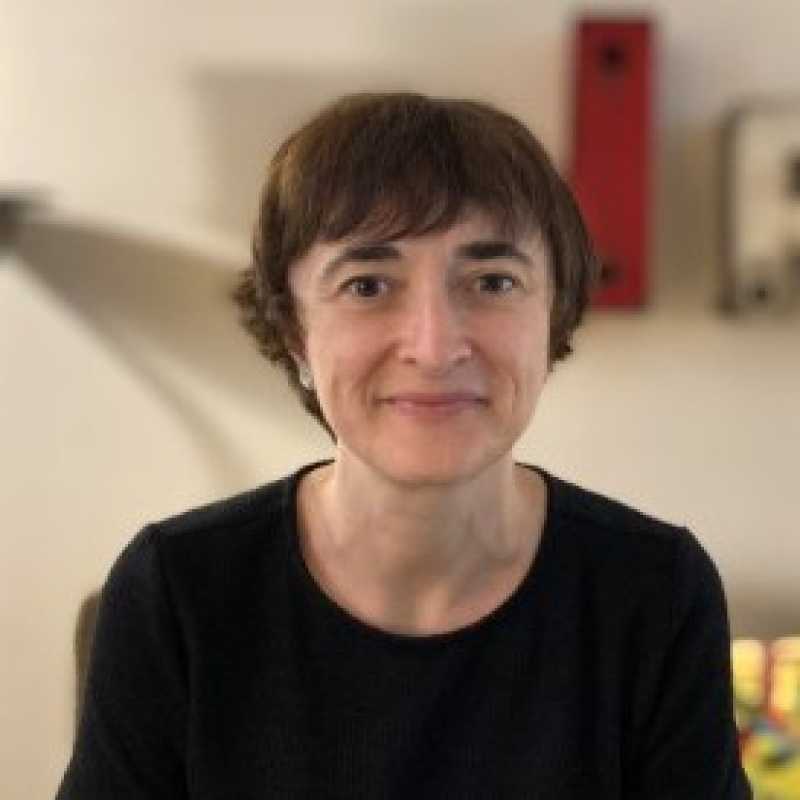 Aina Obiols Autonell, Docente UNIR