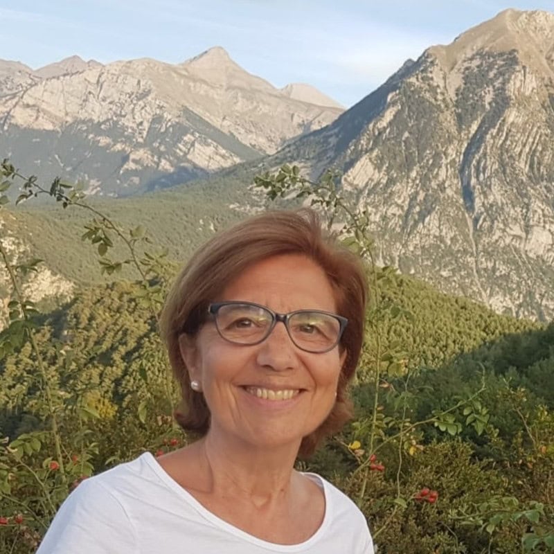 Ana Malmierca Hernández, Docente UNIR