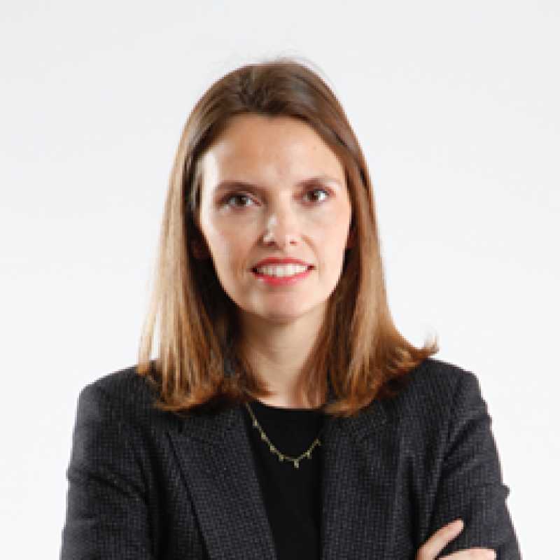 Ana Sanz, Experto asociado