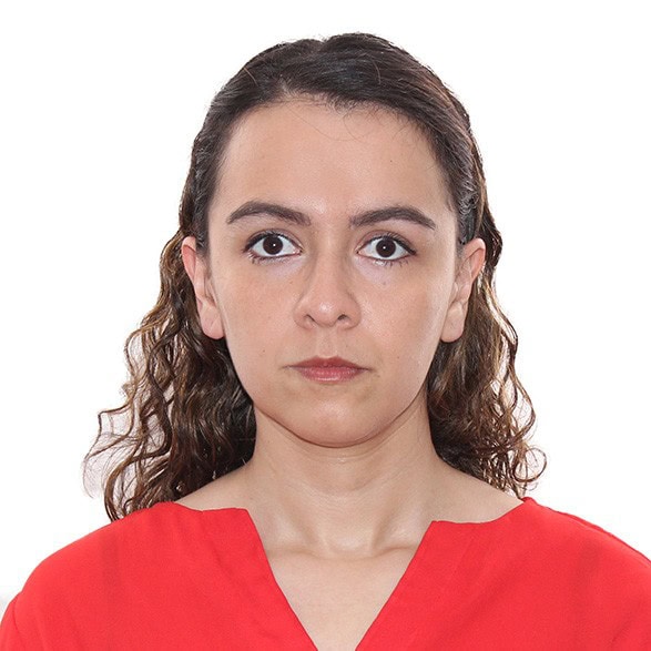Evelyn Suceth Santamarina Mejía, Docente UNIR