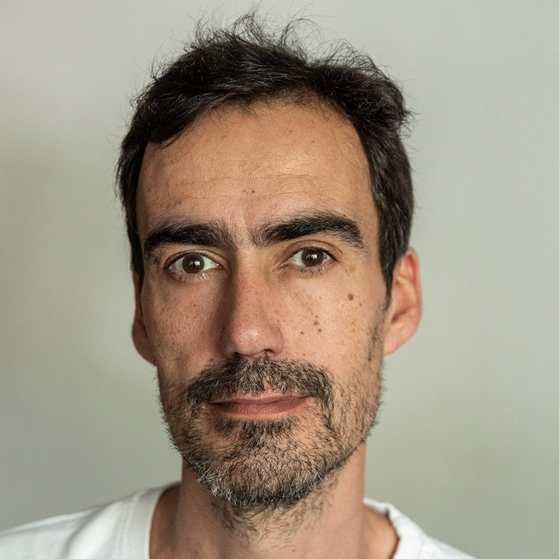 Iñaki Domingo Callejón, Docente UNIR