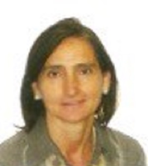 Itziar Astigarraga Aguirre, Experta asociada