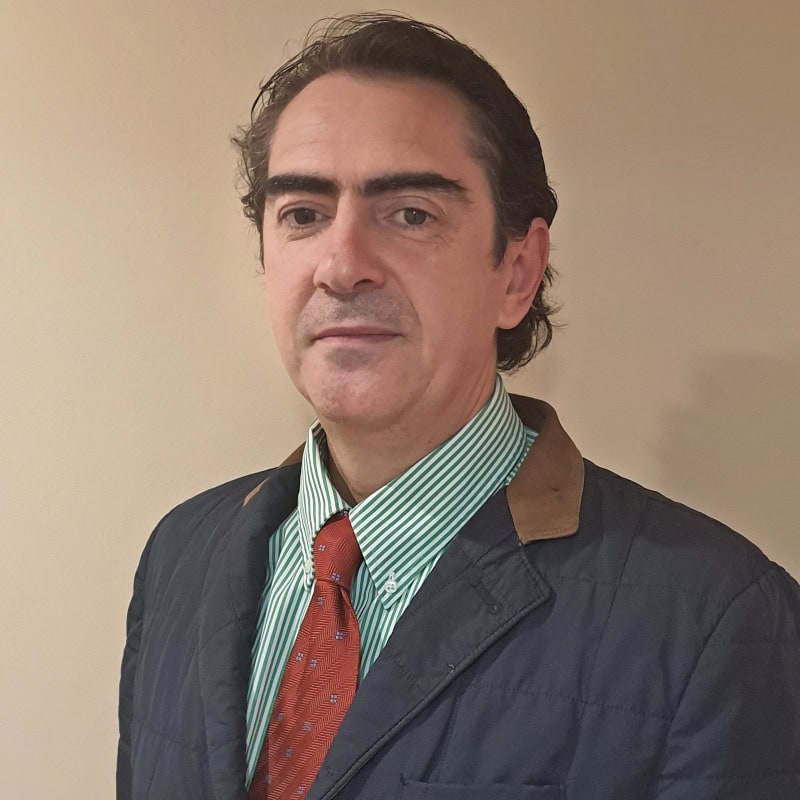 Juan José Cubillas Mercado, Docente UNIR