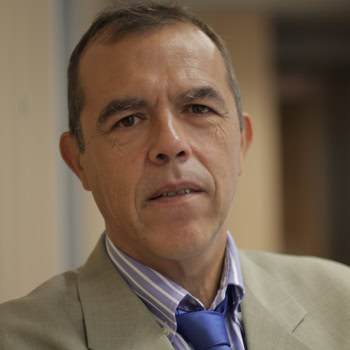Luis Rodríguez Baena, Docente UNIR