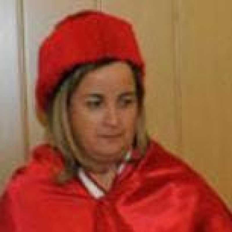 Luisa Vicedo Cañada, Docente UNIR
