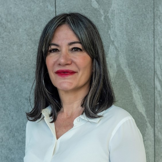 María del Carmen Arenas Carbellido, Docente UNIR