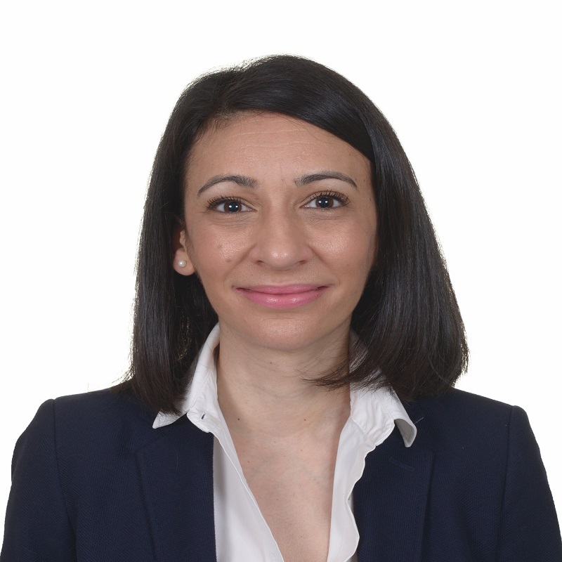 Teresa Sánchez González, Experta asociada